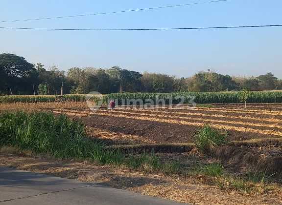 Industrial Zone Land Location Sragen Area 50 Hectares Industrial Zone Land Location Sragen Area 50 Hectares