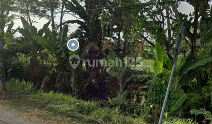 Lahan Zona Industri Sangat Strategis Sambungmacan Sragen Luas 6 Ha