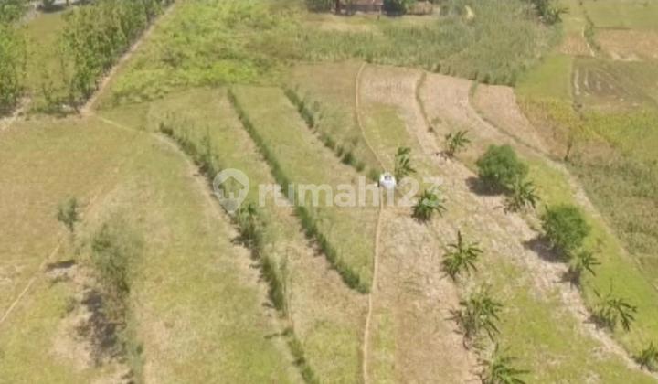 Lahan Zona Merah Industri Grobogan,Jawa tengah Luas 100 Ha