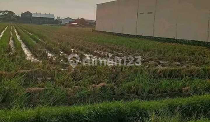 Dijual lahan industri lokasi parangjoro luas 13000m BU! 1