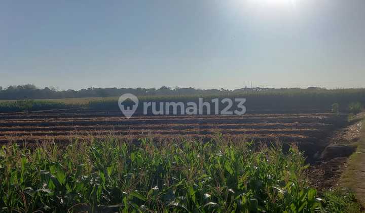 Industrial Zone Land Location Sumberlawang, Sragen Area 42 Ha Industrial Zone Land Location Sumberlawang, Sragen Area 42 Ha