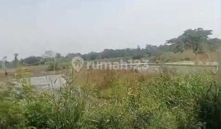 Sawah Zona Industri Lokasi Delanggu,Klaten Luas 5 Ha Bu!!