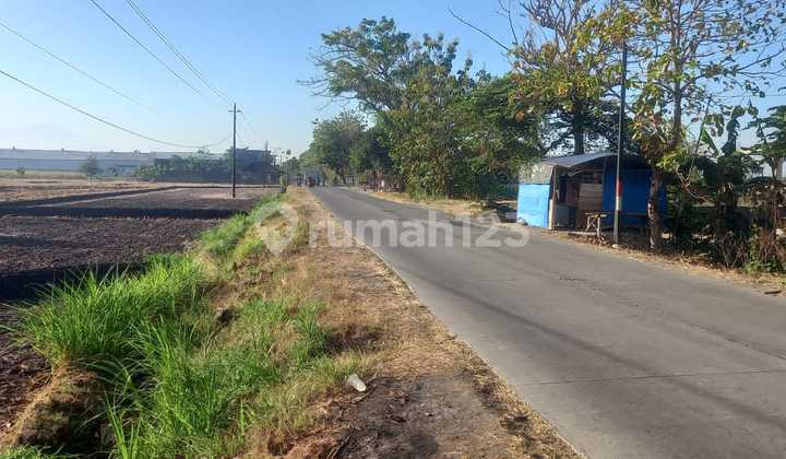 Industrial Zone Land Location Sumberlawang, Sragen Area 42 Ha Industrial Zone Land Location Sumberlawang, Sragen Area 42 Ha