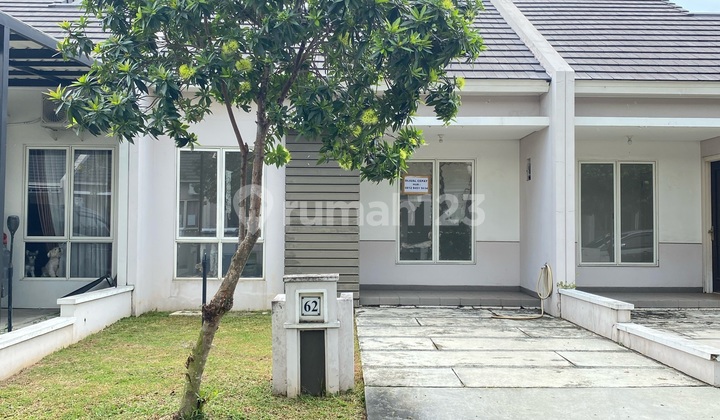 Sell Cheap Bianca Suvarna Sutera Cluster 2