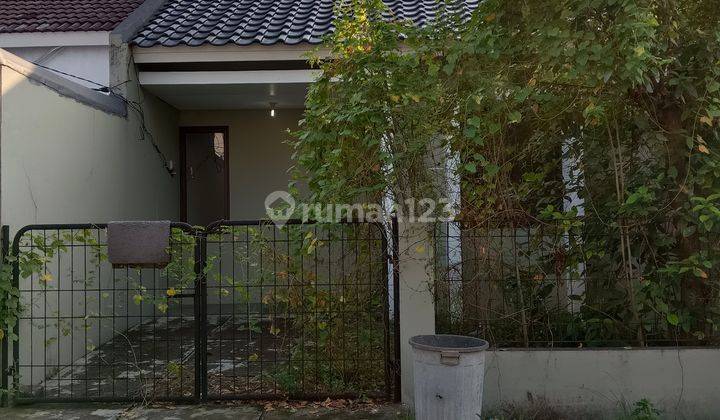 Rumah cantik Griya Hijau alam sutera Serpong 1