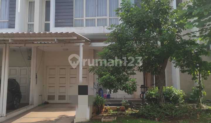 Rumah Dijual Sewa Cluster Starling The Spring Gading Serpong