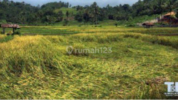 Tanah 15 Hektare Di Ciater Subang Jawa Barat - Sangat Cocok Untuk Di Jadikan Pariwisata Dan Rekreasi - Perijinan Lengkap - Ada Sumber Mata Air Panas Dan Dingin - Air Terjun - Tanah Sawah Dan Berbukit Serta Terdapat Contoh Villa Dan Gazebo 1