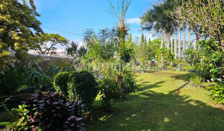 For Sale: Villa in Cimacan Puncak - Jl. Sukanangalih - Well-Maintained Villa with a Beautiful and Spacious Garden - Attractive Negotiable Price For Sale: Villa in Cimacan Puncak - Jl. Sukanangalih - Well-Maintained Villa with a Beautiful and Spacious Garden - Attractive Negotiable Price
