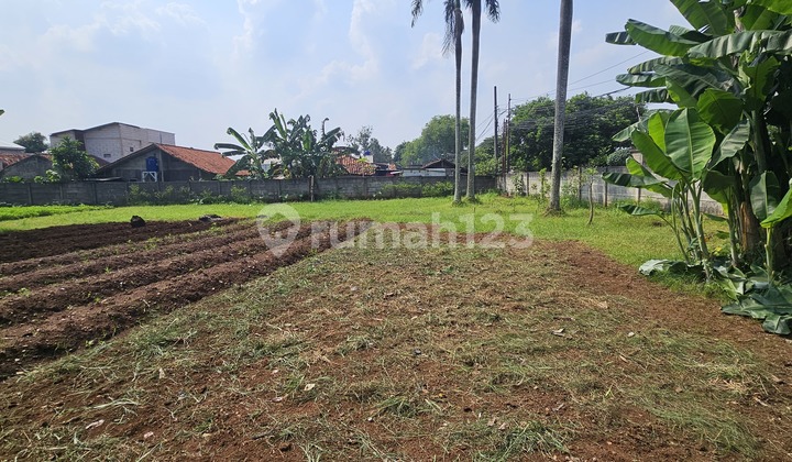 Termurah!!!! Tanah Di Jual Cepat Jl. Setu Raya - Parigi Baru - Pdk Aren - Tangsel - Cocok Untuk Cluster - Lapangan Padel - Gudang Termurah!!!! Tanah Di Jual Cepat Jl. Setu Raya - Parigi Baru - Pdk Aren - Tangsel - Cocok Untuk Cluster - Lapangan Padel - Gudang