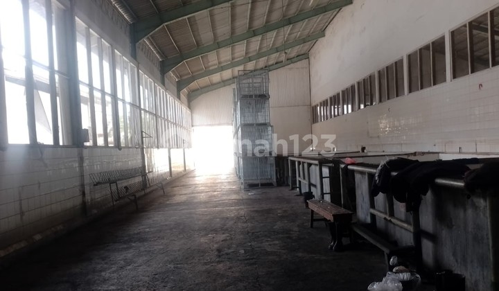 Quick Sale Low Price Ex-Fishery Factory in South Cilacap, Land Area Nearly 5ha, Capacity 200 - 250 Tons