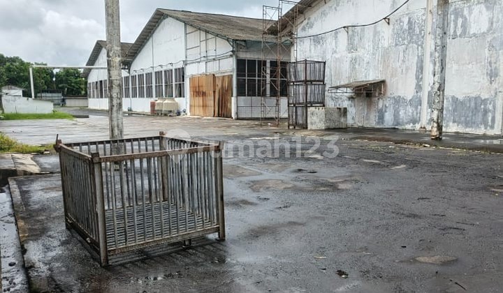 Quick Sale Low Price Ex-Fishery Factory in South Cilacap, Land Area Nearly 5ha, Capacity 200 - 250 Tons