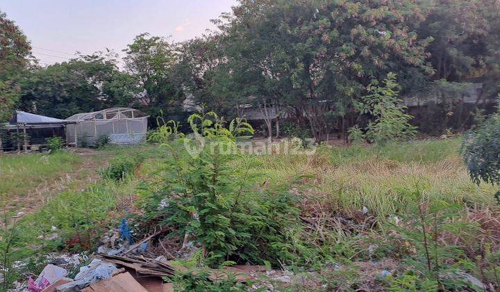 Jual Tanah Murah Lokasi Strategis tengah kota 1