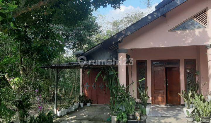 Rumah Murah di Grobogan Yang Nyaman Dan Asri 1