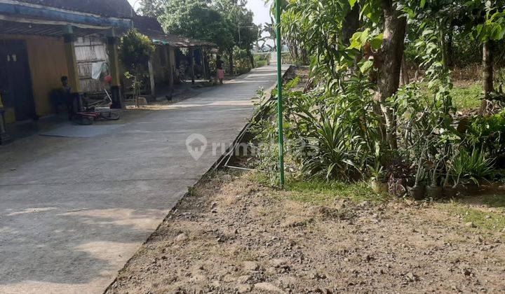 Rumah Murah di Grobogan Yang Nyaman Dan Asri 2