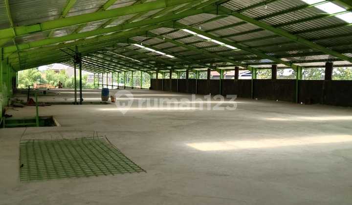 Dijual/Disewakan Gudang Baru Jadi dan Siap Operasional di Cikupa Tangerang Banten Dijual/Disewakan Gudang Baru Jadi dan Siap Operasional di Cikupa Tangerang Banten