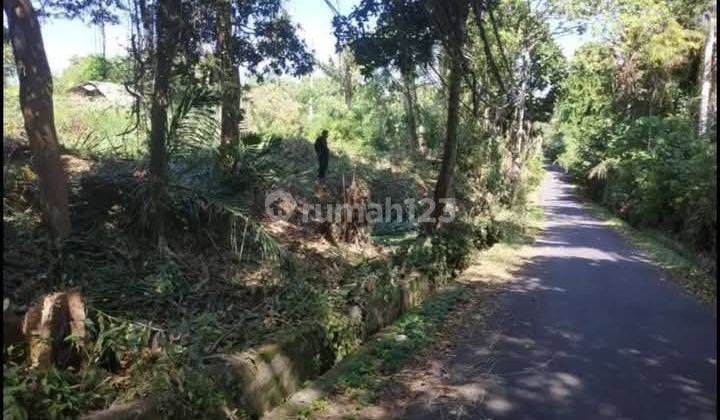 Pasti Closing Di Jual Tanah Lokasi Pering Blahbatuh Gianyar 2