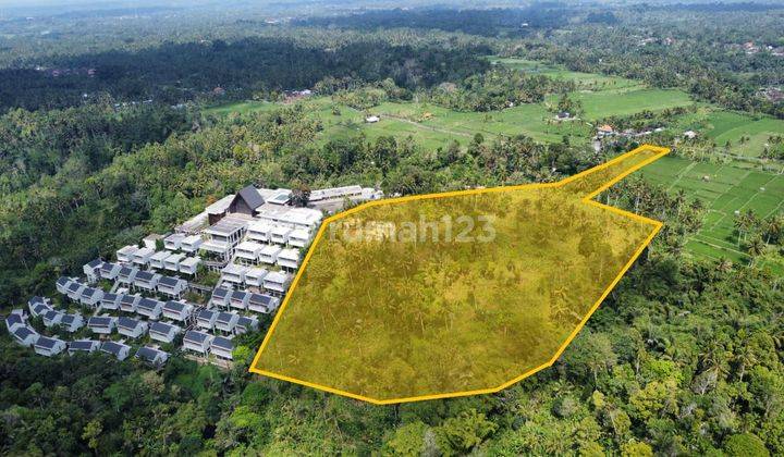 Hot List Di Jual Tanah View Sawah Hutan Dan Sungai Lokasi Bukian Payangan Ubud Gianyar 1