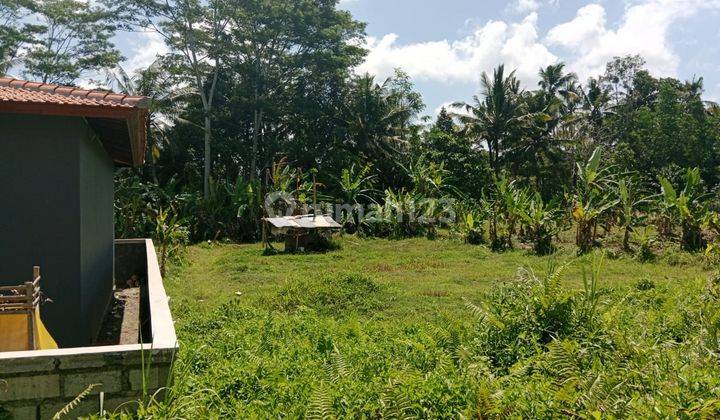 Hot List of Land for Sale in Petulu Ubud Gianyar Location 1