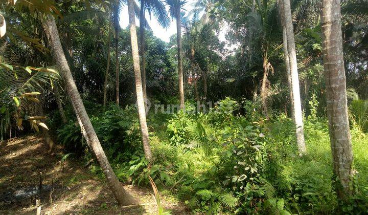 Hot List of land for sale with river and forest views in Petulu Ubud location 2