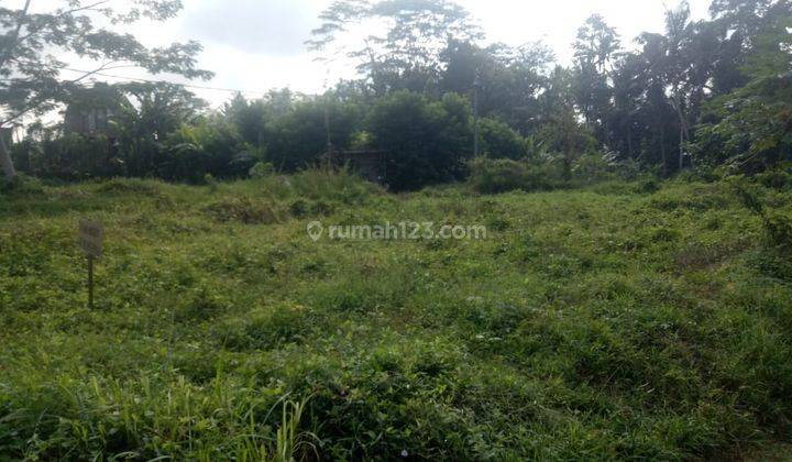 Hot List of land for sale with river and forest views in Petulu Ubud location 1