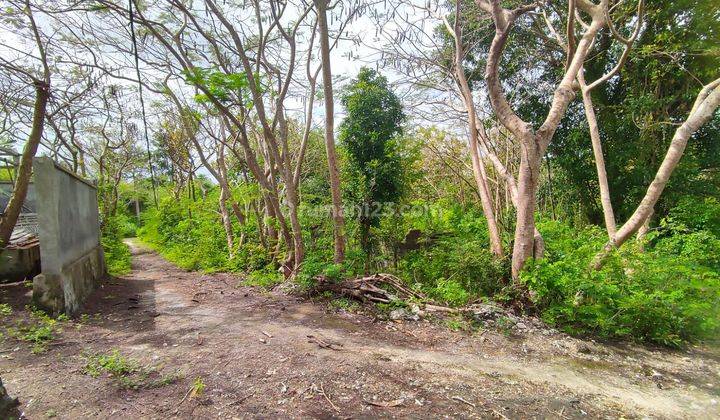 Hot List Di Jual Tanah Lokasi Melang Kaja Goa Gong Kuta Selatan 1