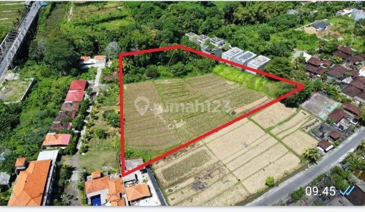 Hot List of land for sale with river loss and rice field views, Beraban location, Tanah Lot, Tabanan 1