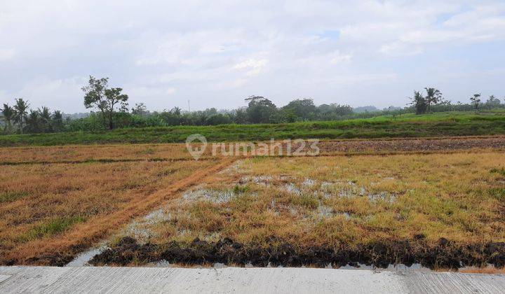 Hot List Di Jual Tanah Kavling View Sawah Gunung Laut Dan Sunset Lokasi Kedungu Tabanan 1