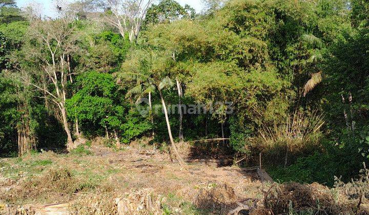 Hot List Di Jual Tanah Loss Sungai View Sawah Lokasi Nyanyi Kediri Tabanan Bali 2