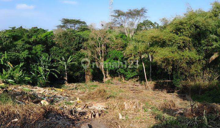 Hot List Di Jual Tanah Loss Sungai View Sawah Lokasi Nyanyi Kediri Tabanan Bali 1