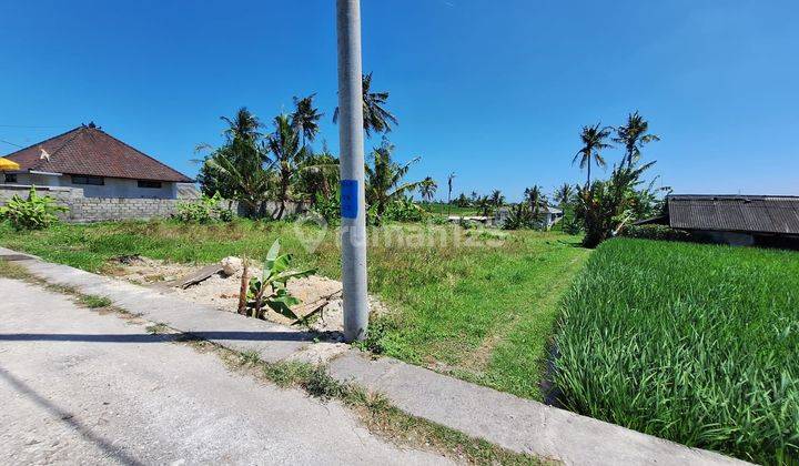 Hot List Di Jual Tanah View Gunung Sawah Dan Sunset Lokasi Nyanyi Tabanan 2