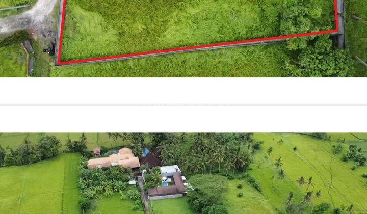 Hot List of Land for Sale in Lodtunduh Ubud Location 2