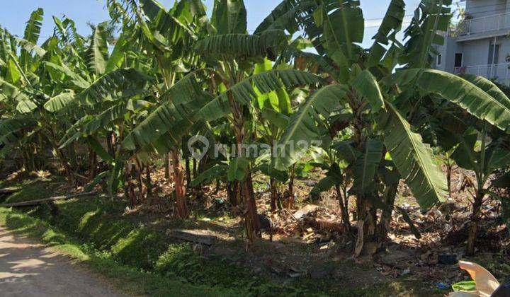 Hot List of Land for Sale in Munduk Tengah Pererenan Canggu 2