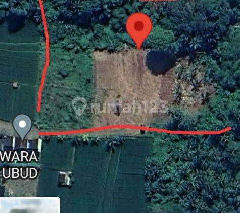 Hot List Di Jual Tanah Loss Sungai View Sawah Sungai Dan Gunung Lokasi Singakerta Ubud Gianyar 1