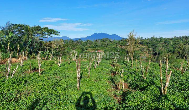 Hot List of Land for Sale in Katung Kintamani Bangli Location 1