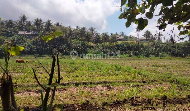 Hot List Di Jual Tanah Loss Pantai View Laut Lokasi Lalanglinggah Selemadeg Tabanan 2