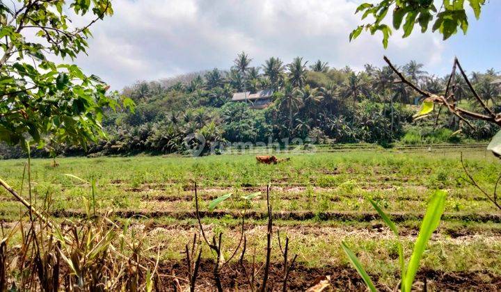 Hot List Di Jual Tanah Loss Pantai View Laut Lokasi Lalanglinggah Selemadeg Tabanan 1