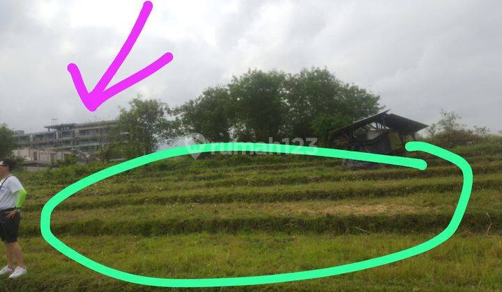 Hot List of Land for Sale in Umalas, North Kuta 2