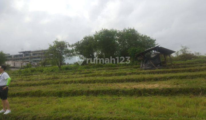 Hot List of Land for Sale in Umalas, North Kuta 1