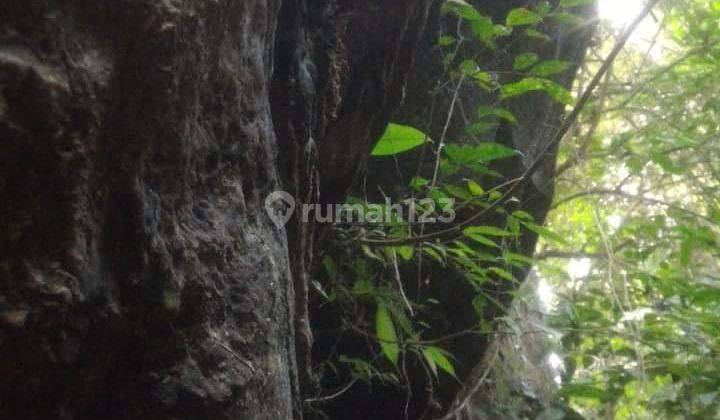 Hot List Di Jual Tanah Ada 6 Mata Air Lokasi Sebatu Tegalalang Ubud Gianyar 2