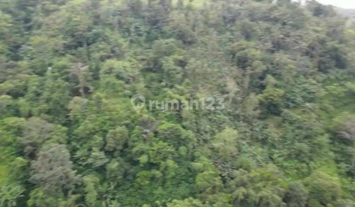 Hot List of Forest View Land for Sale, Payangan Fruit Location, Ubud, Gianyar 1