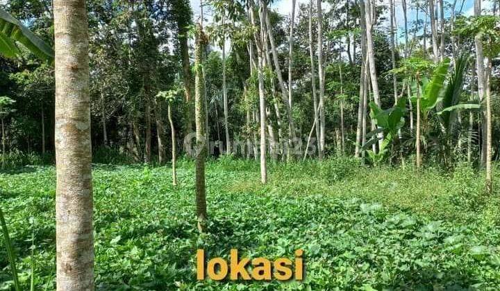 Hot List Di Jual Tanah Lokasi Sebatu Tegallalang Ubud Gianyar 2