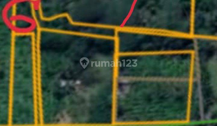 Hot List of Forest View Land for Sale, Tegallalang Ubud Gianyar Location 1