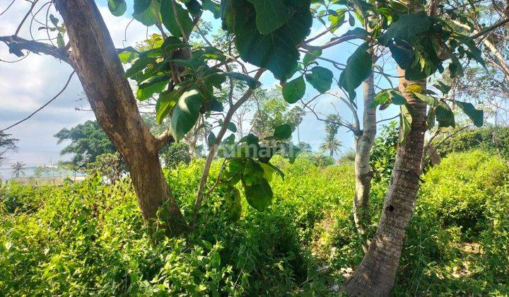 Hot List Di Jual Tanah View Laut Lokasi Pantai Pering Blahbatuh Ubud Gianyar 2