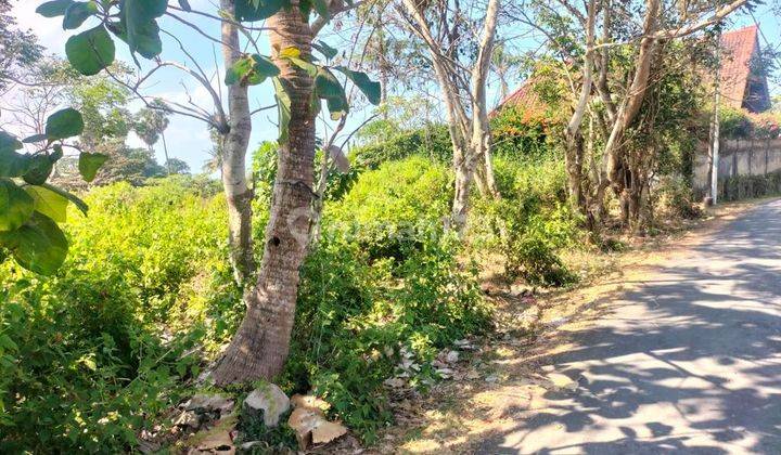 Hot List Di Jual Tanah View Laut Lokasi Pantai Pering Blahbatuh Ubud Gianyar 1