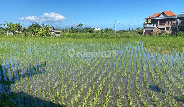 Hot List Di Jual Tanah View Sawah Lokasi Keramas Blahbatuh Ubud Gianyar 2