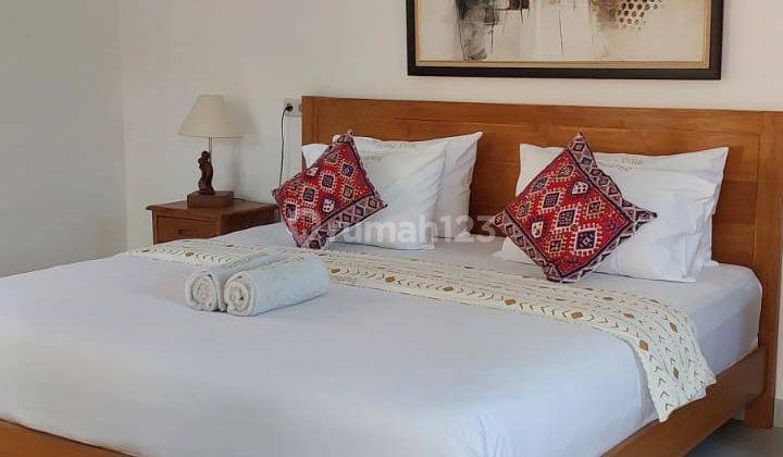 Hot List Di Jual Guesthouse Style Villa Lokasi Lovina Singaraja Buleleng Bali 2