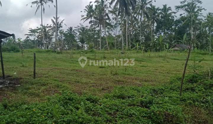 Hot List Di Jual Tanah Lokasi Tegallalang Ubud Gianyar 1