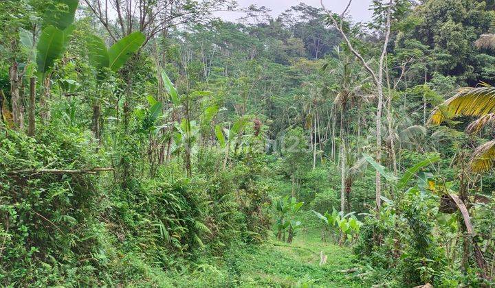 Hot List Di Jual Tanah View Lembah Sawah Sungai Lokasi Pupuan Tegallalang Ubud Gianyar 1