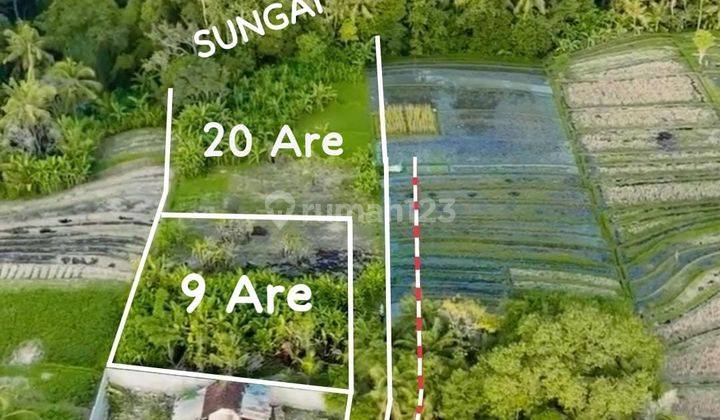 Hot List Di Jual Tanah Loss Sungai View Sungai Lokasi Nyanyi Beraban Kediri Tabanan  2