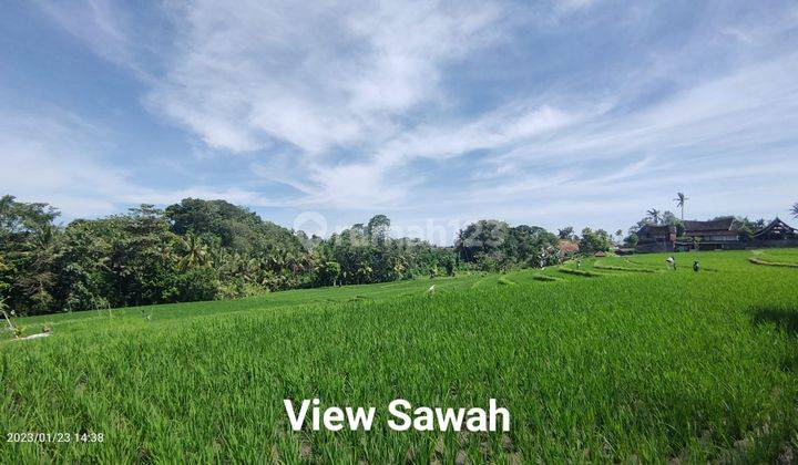 Hot List Di Jual Tanah Loss Sungai View Sungai Lokasi Nyanyi Beraban Kediri Tabanan  1